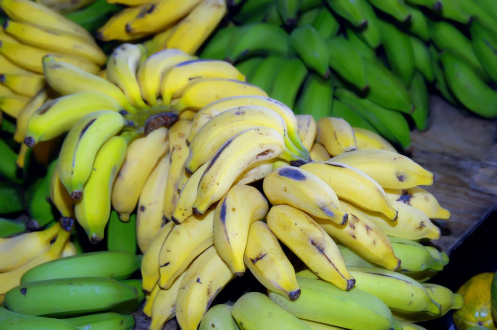 a bunch of green bananas