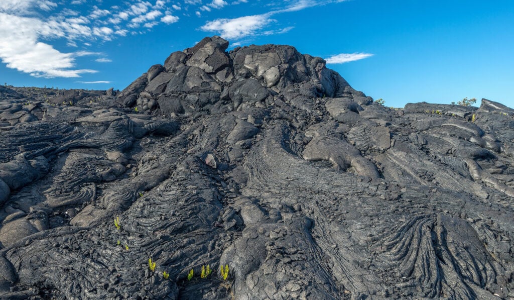 Cooled black pāhoehoe lava field at Hawaiʻi Volcanoes National Park with young ferns pushing through the fissures under blue sky